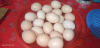 ব্রাহামা মুরগির বিজ ডিম
